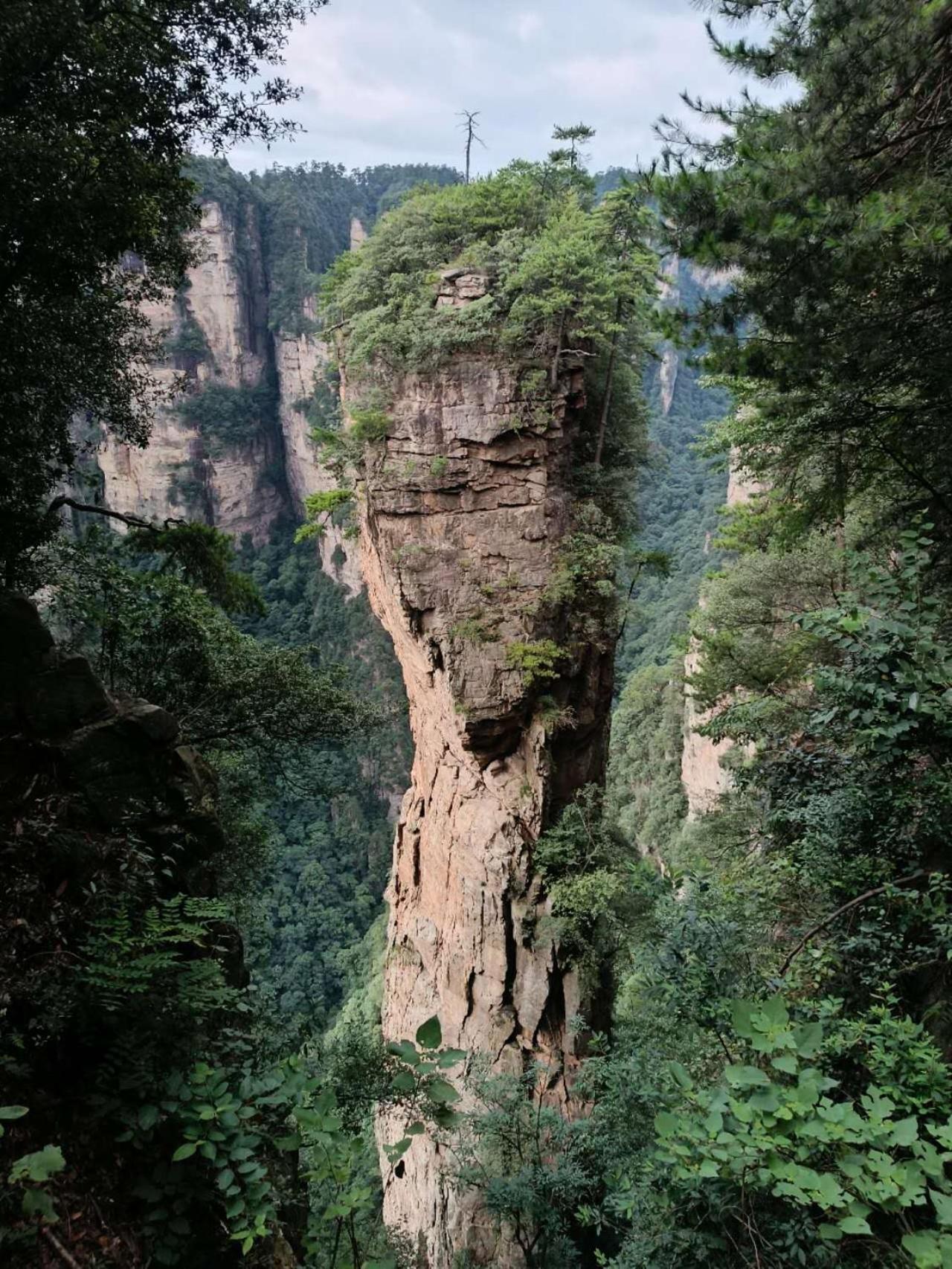 Family Hotel Zhangjiajie Eksteriør bilde