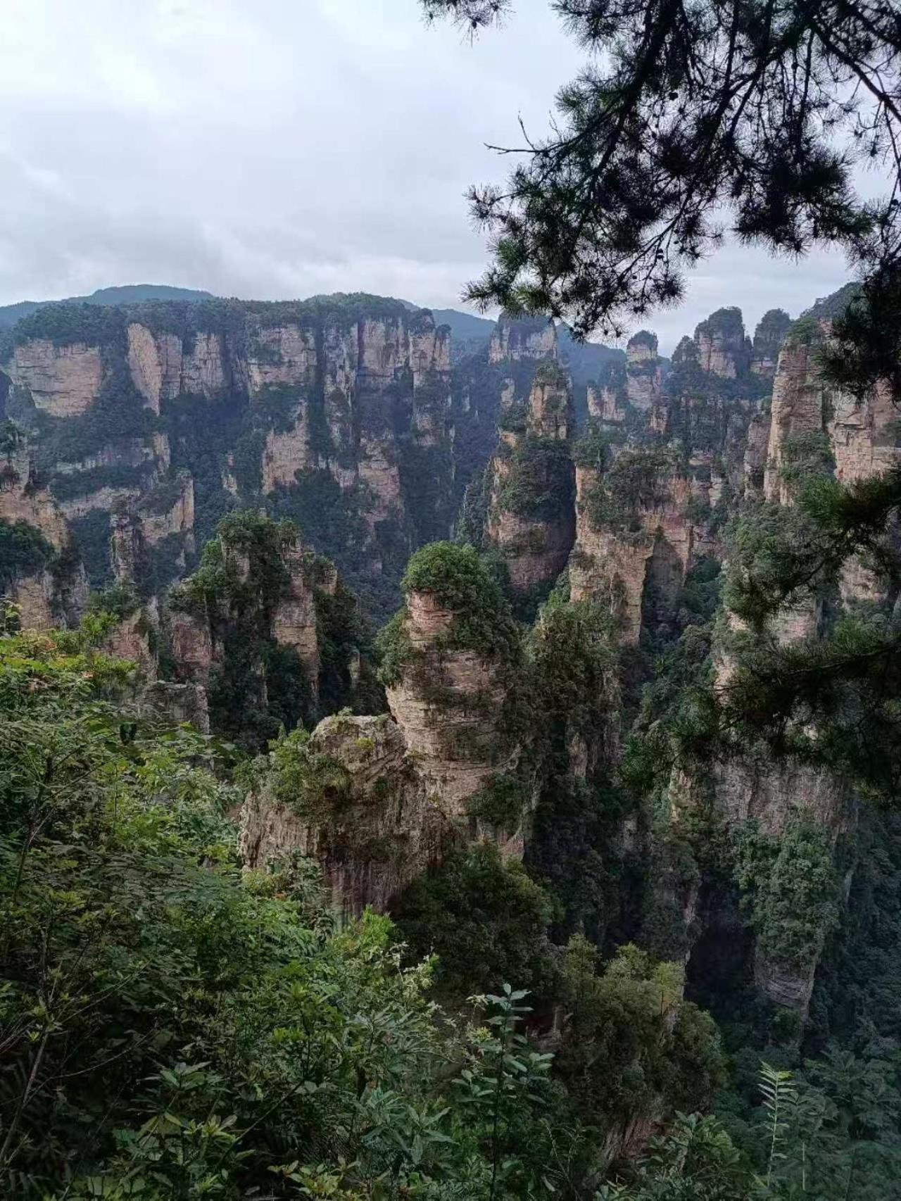 Family Hotel Zhangjiajie Eksteriør bilde